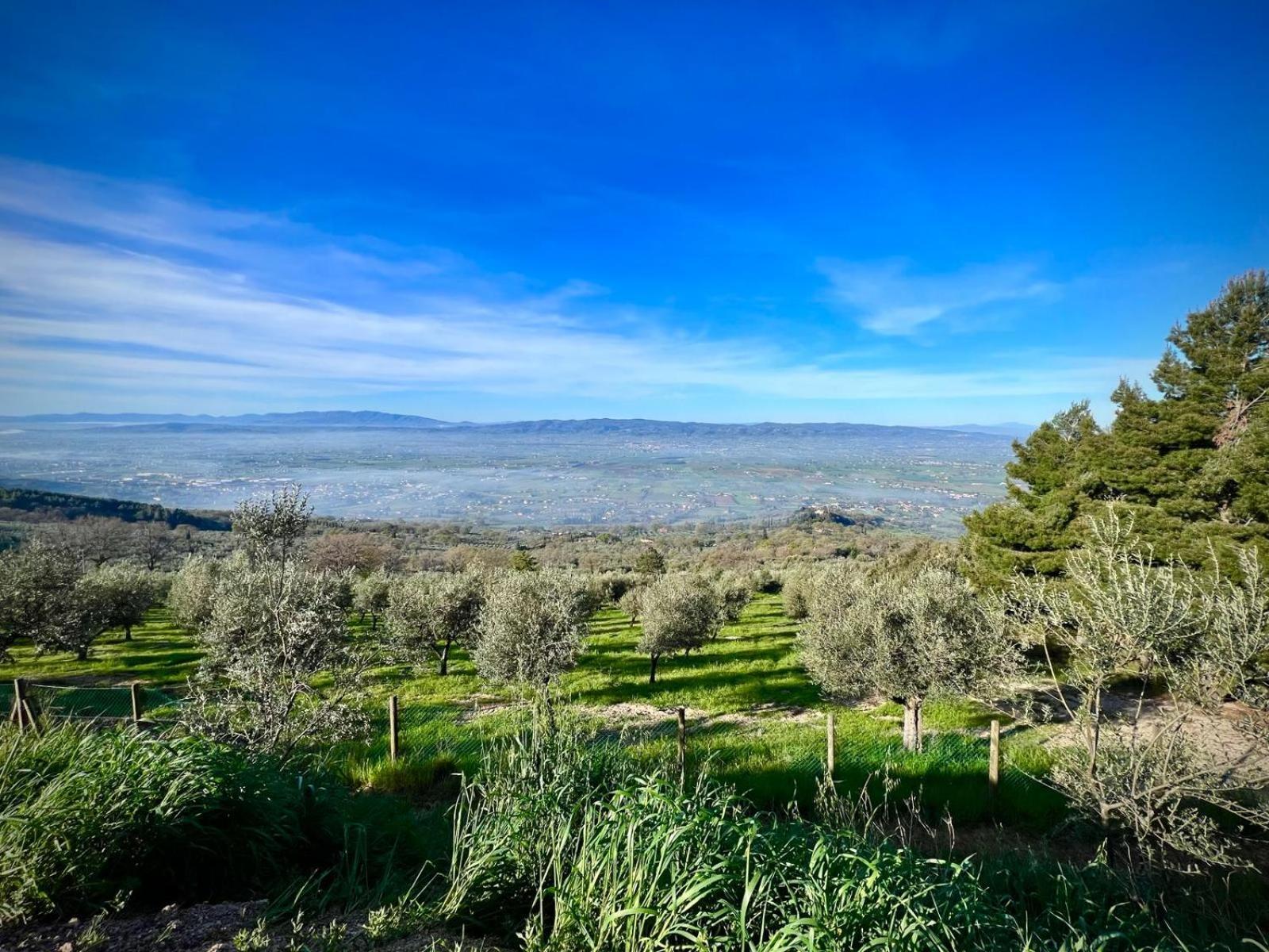 Le Mandrie Di San Paolo Villa Assisi Exterior photo