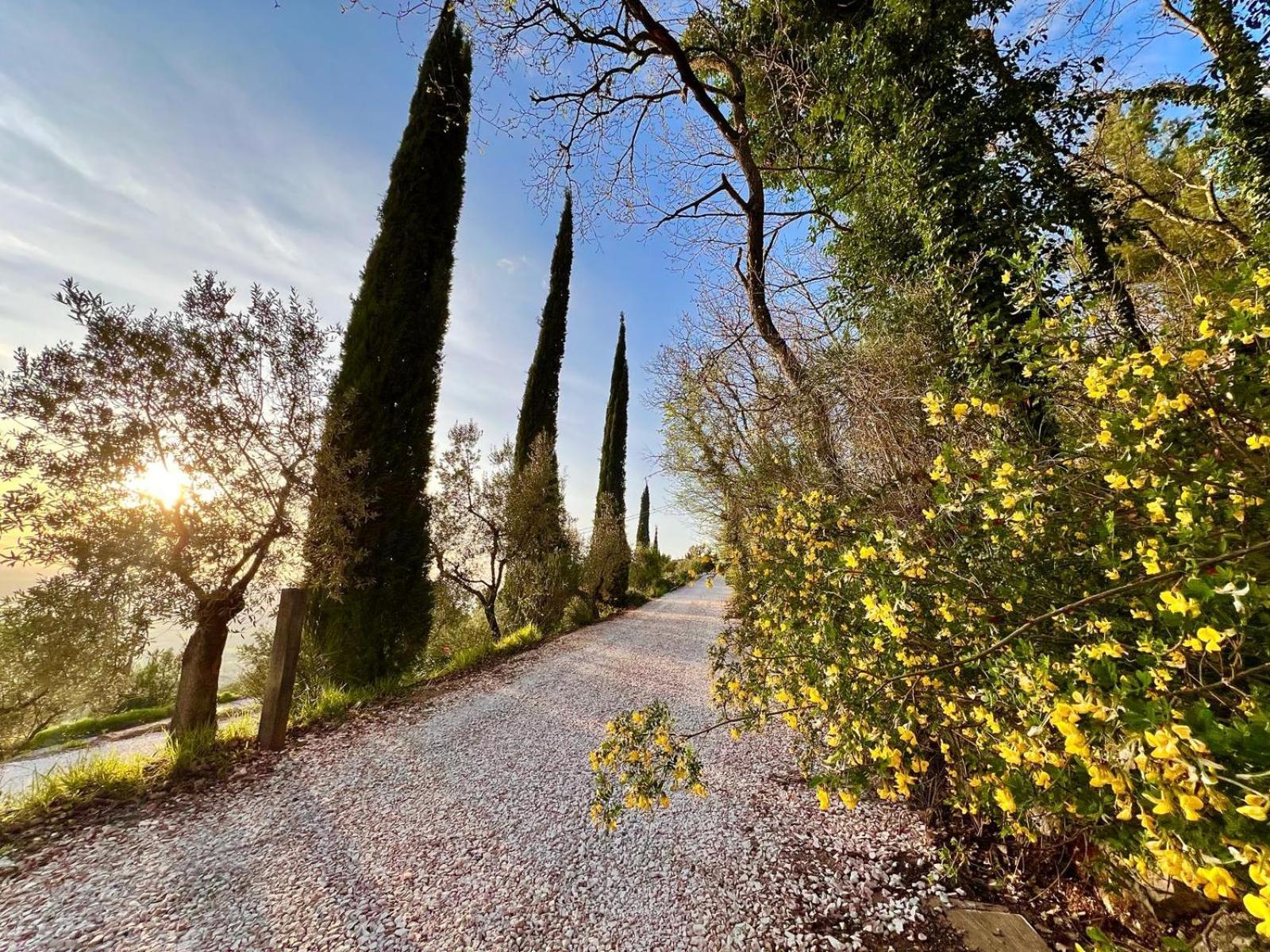 Le Mandrie Di San Paolo Villa Assisi Exterior photo